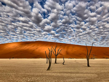 Scenic view of desert against sky