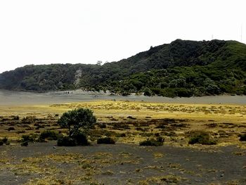 Scenic view of land against clear sky