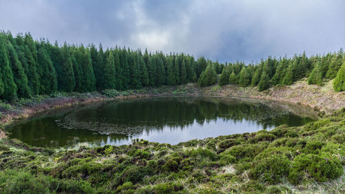 Scenic view of lake by trees against sky