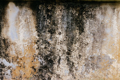 Full frame shot of weathered wall