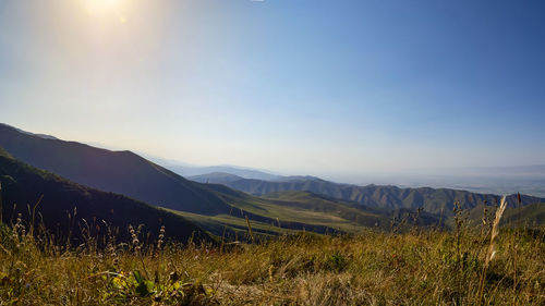 Scenic view of field against clear sky