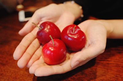 Close-up of hand holding plums