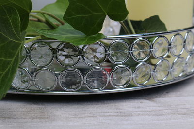 Close-up of potted plant on table