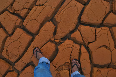 Low section of man standing on sand