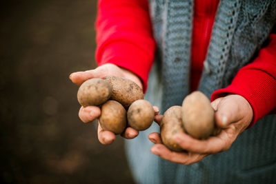 Low section of woman holding fruit