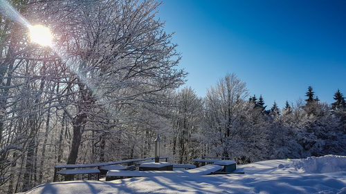 Snow covered trees against clear sky