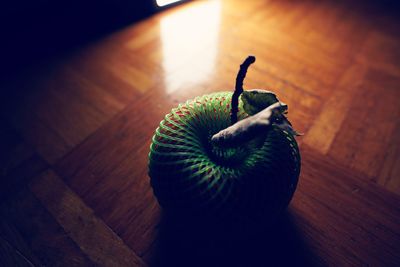 High angle view of bird on wooden floor