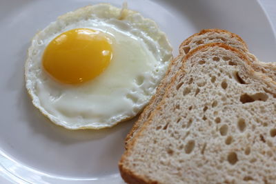 Close-up of breakfast in plate