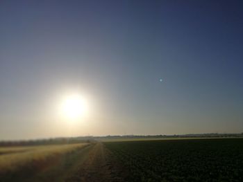 Scenic view of field against bright sun