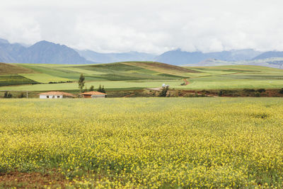 A green valley with the mountains on a background in peru