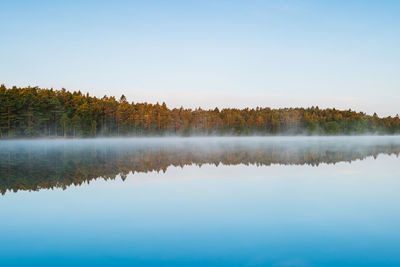 Reflection of lake and forest at sunrise