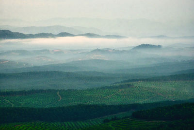 Aerial view of misty morning at highlands area in asahan, melaka, malaysia