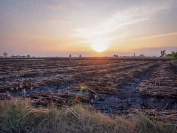 Scenic view of field against sky during sunset