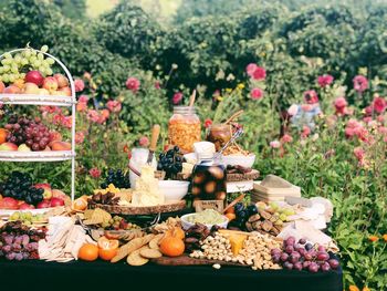 View of flowering plants
