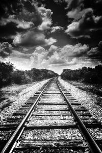 Railroad tracks in winter