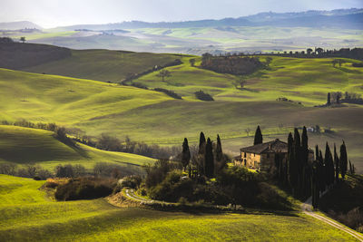 Scenic view of agricultural field by buildings