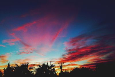 Silhouette of trees at sunset