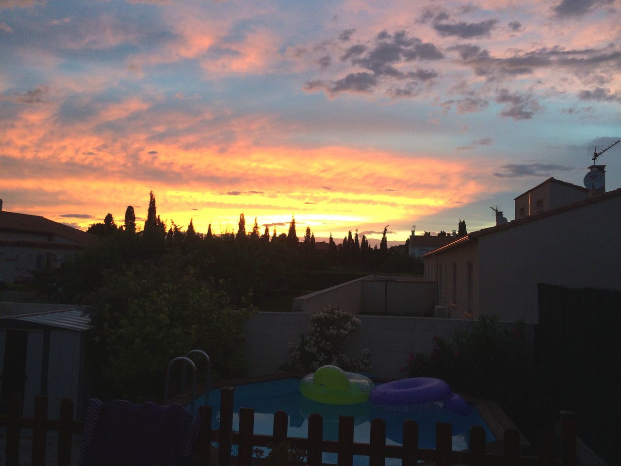 sunset, tree, nature, sky, cloud - sky, outdoors, no people, beauty in nature