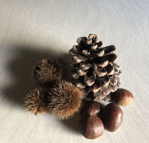 High angle view of berries on table