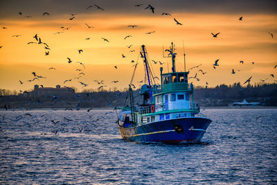 Fishing boat  in the sea at sunset