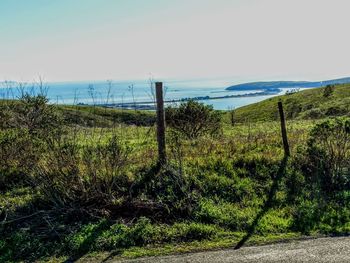 Scenic view of landscape against sky