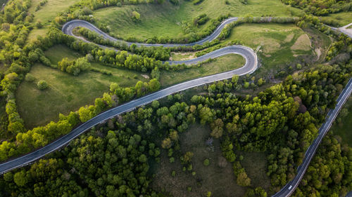 Aerial view of road amidst forest