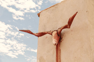 Low angle view of a hanging on rope against sky