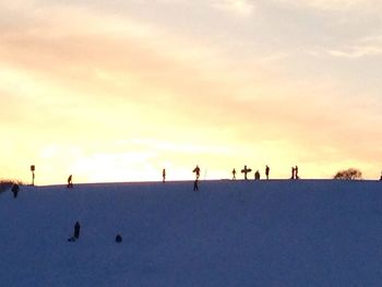 Silhouette birds on snow against sky