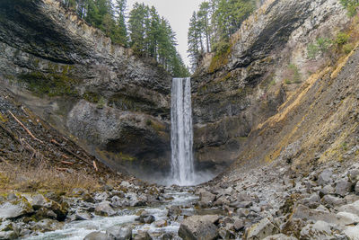 Scenic view of waterfall in forest