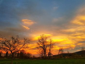 Silhouette trees on field against orange sky