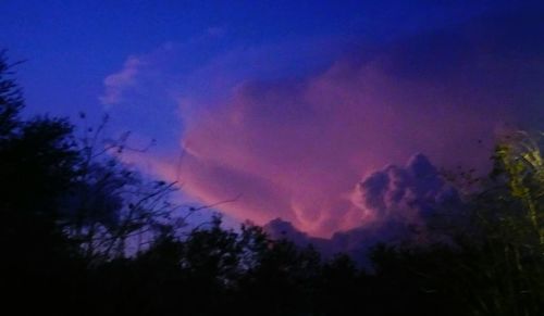 Low angle view of silhouette trees against sky at sunset