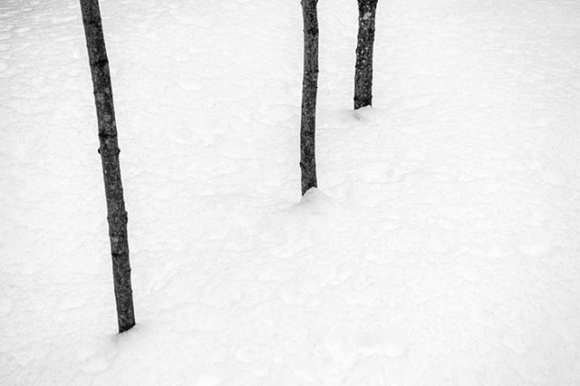 CLOSE-UP OF SNOW COVERED FIELD