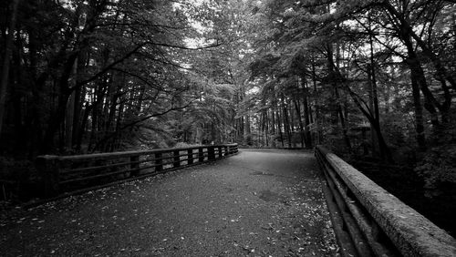 Empty road amidst trees in forest