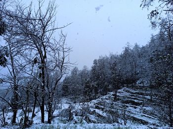 Bare trees on snow covered field against sky