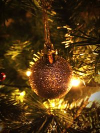 Close-up of christmas tree at night