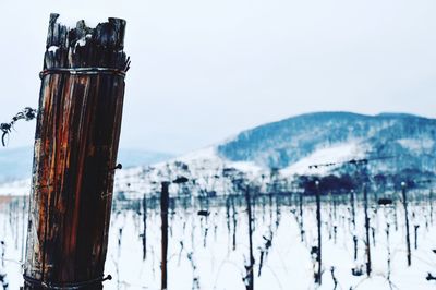 Close-up of wooden posts on snow covered field against clear sky