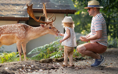 Side view of toddler and father feeding deer 