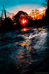 Silhouette trees by lake against sky during sunset