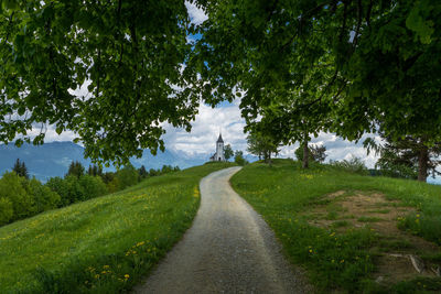 Footpath passing through landscape