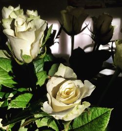 Close-up of rose bouquet