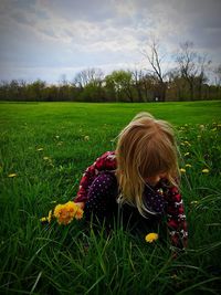 Scenic view of grassy field against sky