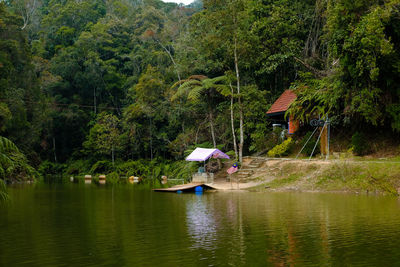 Scenic view of lake amidst trees in forest