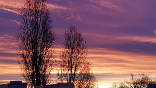 Silhouette bare trees by lake against romantic sky at sunset