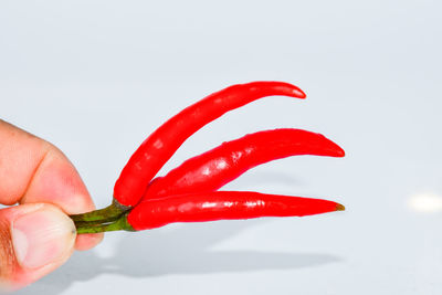 Cropped image of person holding red chili peppers against white background