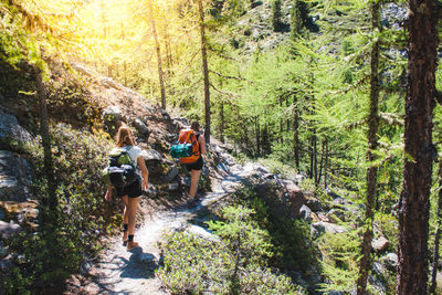 People walking in forest