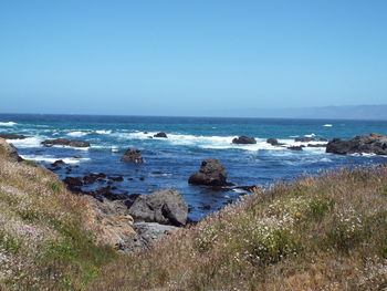 Scenic view of sea against clear sky