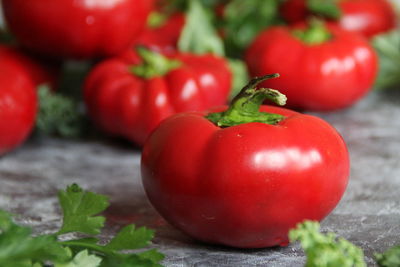 Close-up of red tomatoes growing on plant