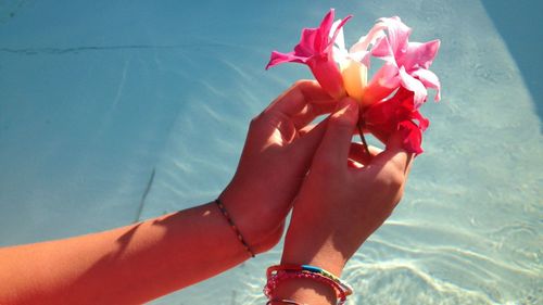 Cropped image of woman holding flower