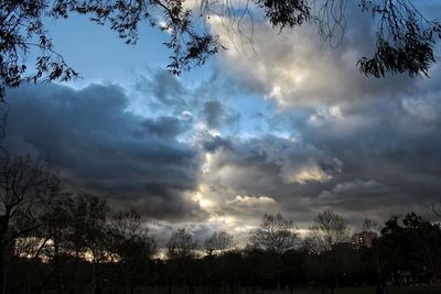 Low angle view of silhouette trees against sky