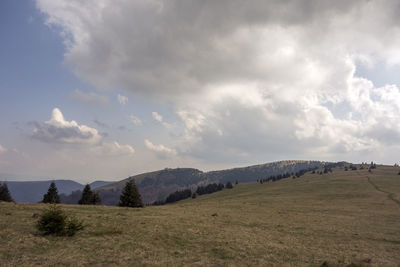 Scenic view of field against sky